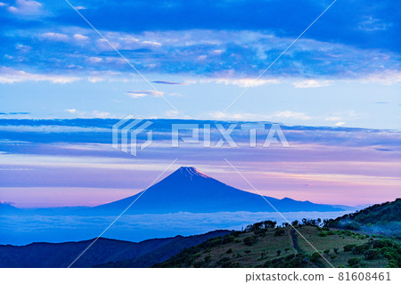 (Shizuoka Prefecture) The dawn of Mt. Fuji seen from the Darumayama plateau 81608461