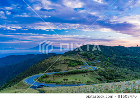 (Shizuoka Prefecture) The dawn of Mt. Fuji seen from the Darumayama plateau 81608470