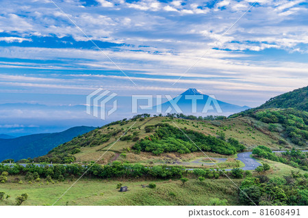 （靜岡縣）從達磨山高原看到的富士山的曙光 81608491