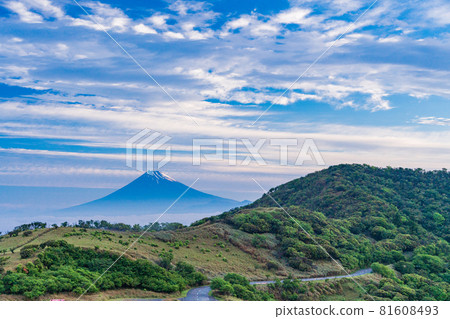 (Shizuoka Prefecture) The dawn of Mt. Fuji seen from the Darumayama plateau 81608493