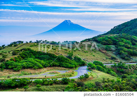 (靜岡縣)從達磨山高原看到的富士山的曙光 (靜岡縣)從達磨山高原看到的富士山的曙光 81608504