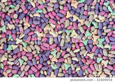 Dry food for cat or dog. Background from pet food. Dry food for cat or dog. Background from pet food. 81609058