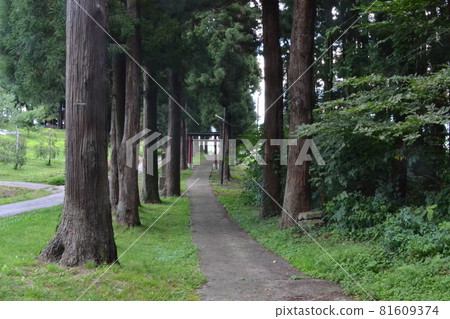 The approach to Koguriyama Shrine in the suburbs of Hirosaki in early autumn The approach to Koguriyama Shrine in the suburbs of Hirosaki in early autumn 81609374
