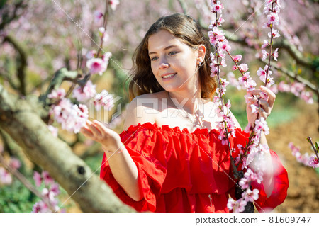 Lady wearing red dress and posing in park with blooming trees Lady wearing red dress and posing in park with blooming trees 81609747
