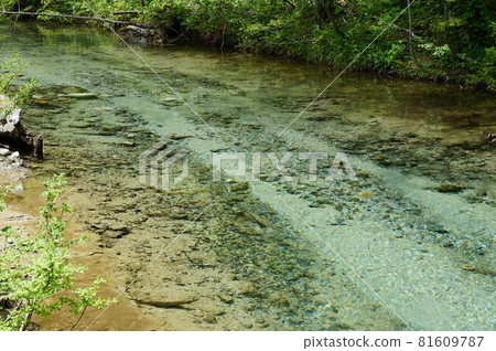At Kamikochi, Tokusawa Lodge. Water, water surface, light and waves. 81609787