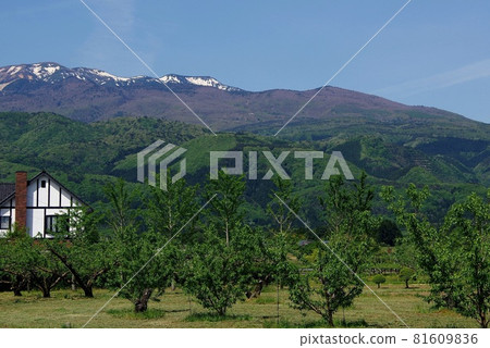 新綠山村 新綠春山 81609836