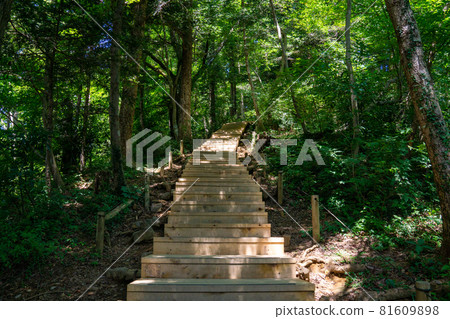 Mt. Takao, Route 6 after maintenance 2021 81609898