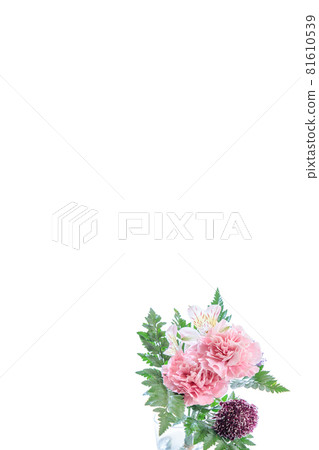 花束康乃馨花禮物感謝你常年 花束康乃馨花禮物感謝你常年 81610539