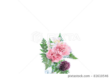 Bouquet carnation flower gift thank you perennial Bouquet carnation flower gift thank you perennial 81610546