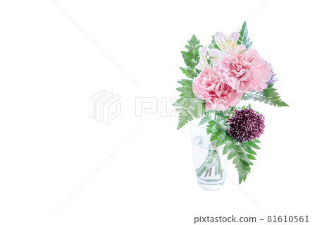 花束康乃馨花禮物感謝你常年 81610561
