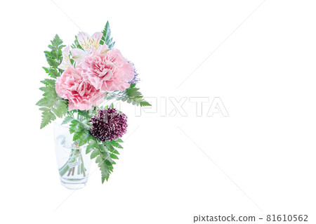 花束康乃馨花禮物感謝你常年 81610562