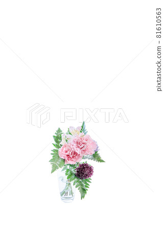 花束康乃馨花禮物感謝你常年 81610563