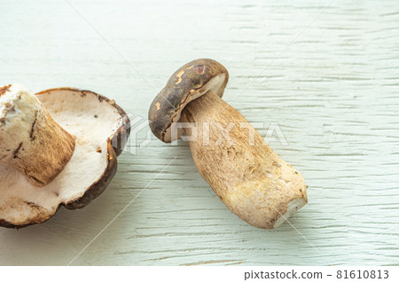Natural mushrooms we picked, Boletus reticulatus 81610813