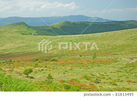 Kanagamine Highland Plateau Nagano Prefecture Kanagamine Highland Plateau Nagano Prefecture 81613495