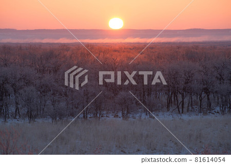 Midwinter: Sunrise in Kushiro Wetland 81614054