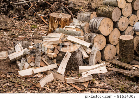 Stacking Firewood. Pile of firewood loggs. Firewood background. Stacking Firewood. Pile of firewood loggs. Firewood background. 81614302