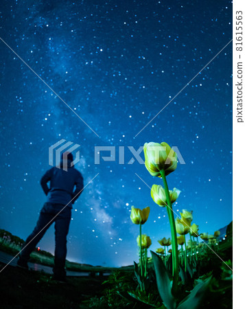 一個人在鬱金香田裡仰望星空 一個人在鬱金香田裡仰望星空 81615563