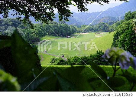 Long course seen from the tee 81615586