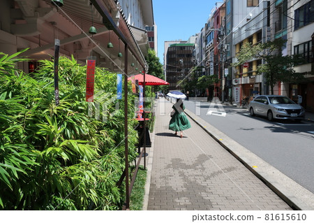 夏天在銀座散步的女人 夏天在銀座散步的女人 81615610