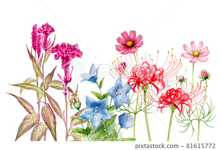 模擬水彩秋季植物群植 81615772