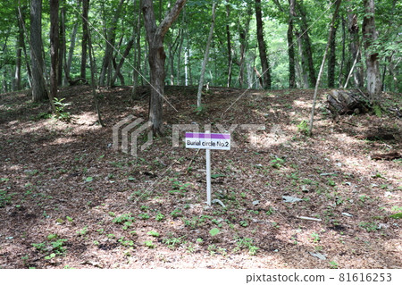 (World Heritage) Hokkaido, Chitose City, Kiusu Earthwork Burial Group (1) (World Heritage) Hokkaido, Chitose City, Kiusu Earthwork Burial Group (1) 81616253
