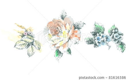  色彩豐富的花卉素材組合和設計元素 81616386