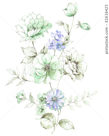  色彩豐富的花卉素材組合和設計元素 81616425