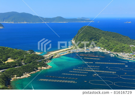 [Kochi Prefecture] Emerald green Kashiwajima 81616729