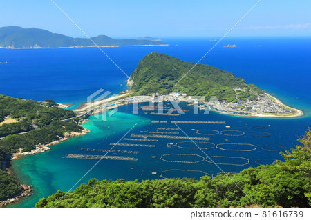 [Kochi Prefecture] Emerald green Kashiwajima 81616739