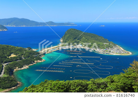 [Kochi Prefecture] Emerald green Kashiwajima 81616740