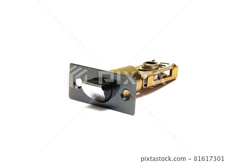 Door handle system isolated on white background 81617301
