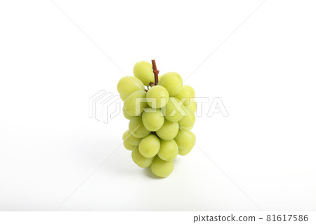 Green grape isolated in white background Green grape isolated in white background 81617586