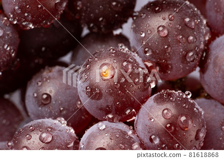 Grapes with water drops Grapes with water drops 81618868