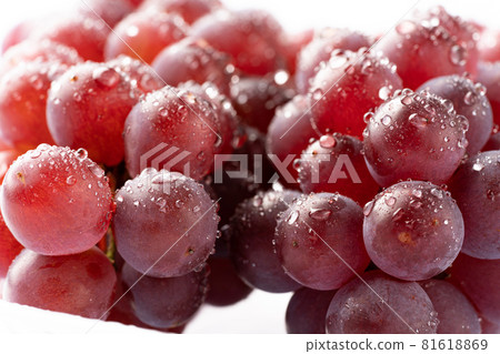 Grapes with water drops 81618869