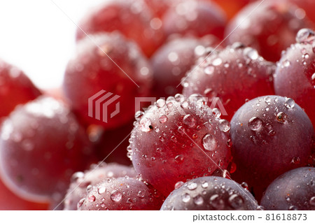 Grapes with water drops 81618873