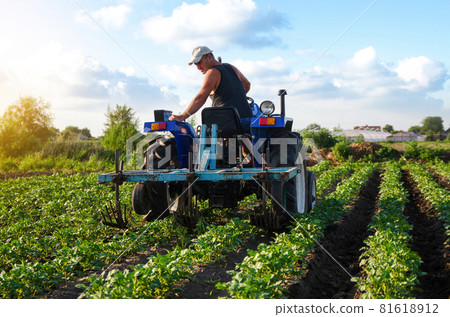 The farmer works in the field with a tractor. Agroindustry and agribusiness. Farming machinery. Plowing and loosening ground. Crop care, soil quality improvement. Farm field work cultivation. 81618912