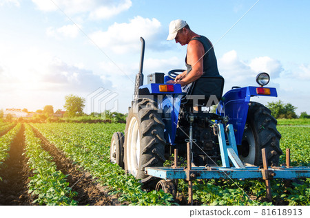 A farmer on a tractor works in the field. A farm worker tills the soil on a plantation. Farm machinery. Crop care. Plowing and loosening ground. Agroindustry and agribusiness. Farming landscape A farmer on a tractor works in the field. A farm worker tills the soil on a plantation. Farm machinery. Crop care. Plowing and loosening ground. Agroindustry and agribusiness. Farming landscape 81618913