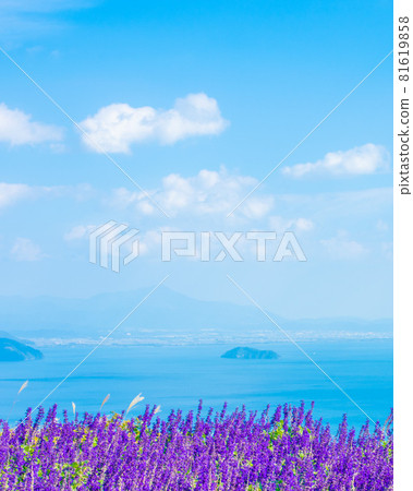 Lake Biwa View Blue Salvia Lake Biwa View Blue Salvia 81619858