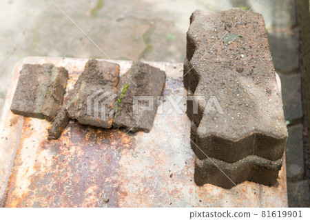 Interlocking shooting 81619901