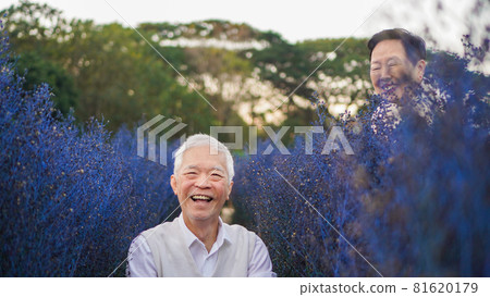 Asian senior elder couple enjoy life hide and seek laughing in purple garden together 81620179