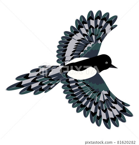 Cartoon magpie bird 81620282