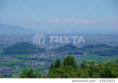 從德島縣吉野川市櫻花大道眺望淡路島和沼島 81620923