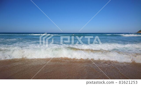 澳洲 雪梨 邦迪海灘 海浪 澳洲 雪梨 邦迪海灘 海浪 81621253