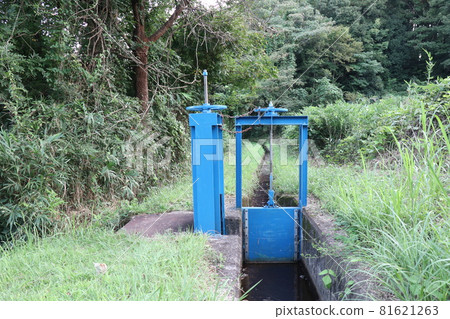 A small flood gate 81621263