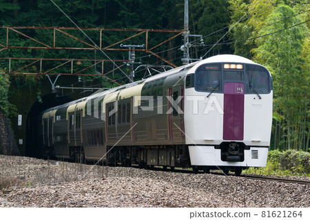 Holiday Rapid View Yamanashi Chuo Line 215 Series Train 81621264