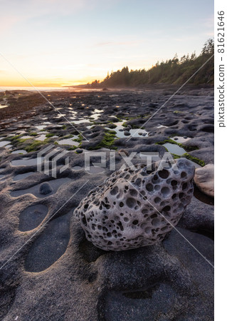 Botanical Beach on the West Coast of Pacific Ocean. 81621646