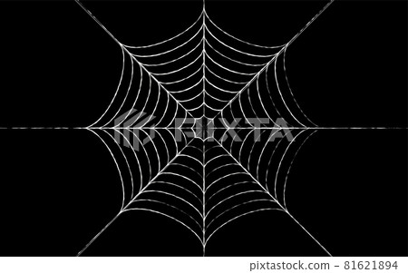 Spider web for Halloween and horror designs, black background 81621894