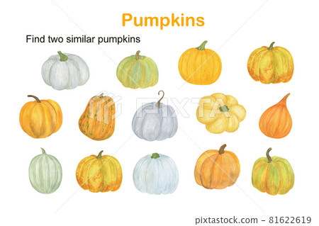 Find two similar pumpkins educational activity for children, fall autumn puzzle game, simple watercolor illustration worksheet for fun and leisure time Find two similar pumpkins educational activity for children, fall autumn puzzle game, simple watercolor illustration worksheet for fun and leisure time 81622619