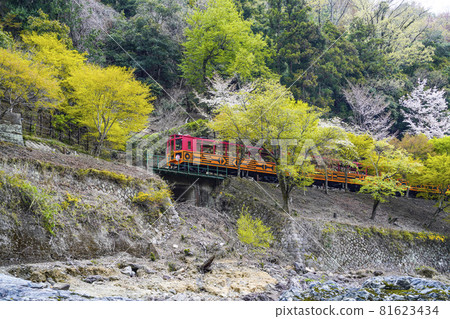 From the boat down the Hozu River in Kyoto, you can see the trolley train running in Hozu Gorge in the spring. From the boat down the Hozu River in Kyoto, you can see the trolley train running in Hozu Gorge in the spring. 81623434
