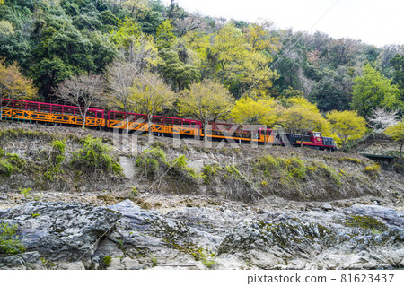 在京都的寶津川乘船順流而下,春天可以看到在寶津峽行駛的電車。 在京都的寶津川乘船順流而下,春天可以看到在寶津峽行駛的電車。 81623437